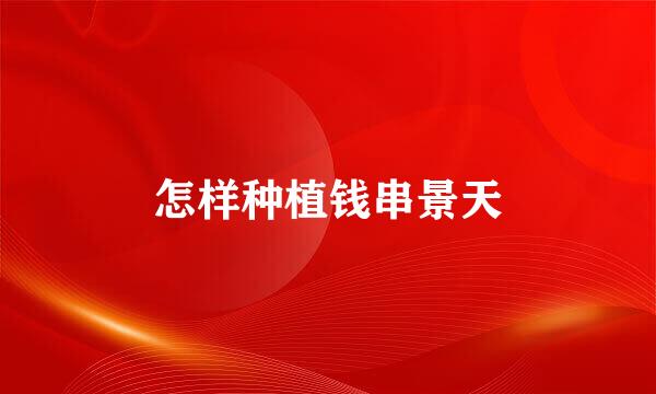 怎样种植钱串景天