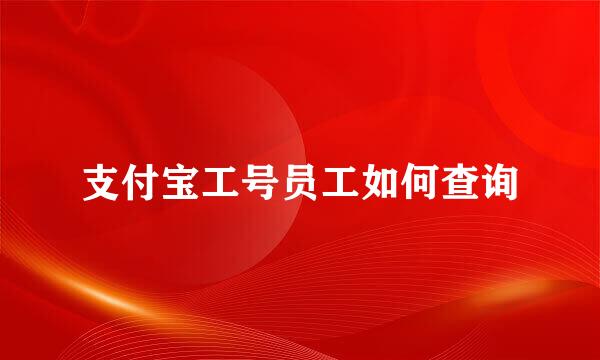支付宝工号员工如何查询