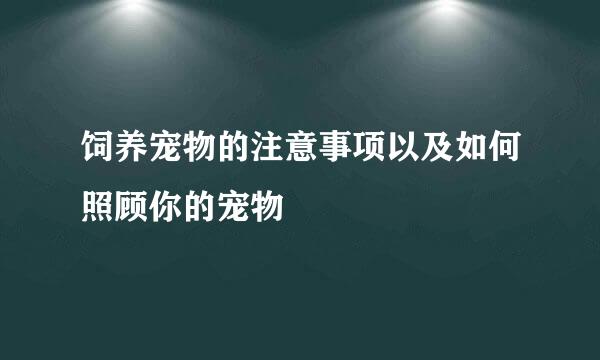 饲养宠物的注意事项以及如何照顾你的宠物