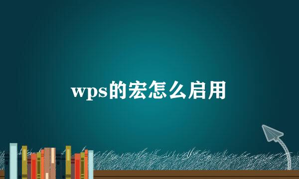 wps的宏怎么启用