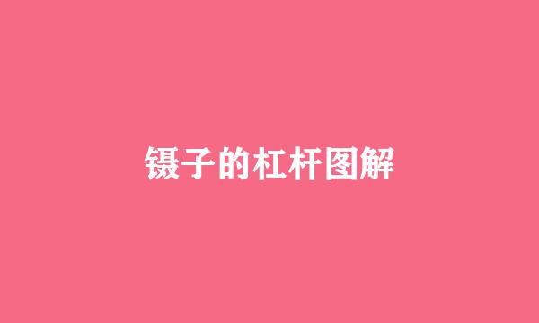 镊子的杠杆图解