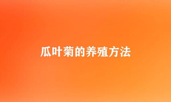 瓜叶菊的养殖方法