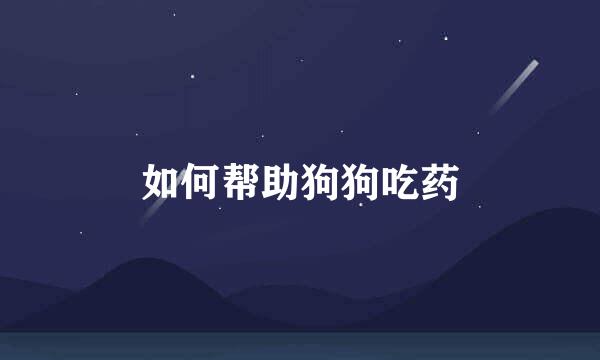如何帮助狗狗吃药