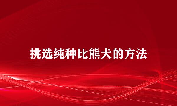 挑选纯种比熊犬的方法