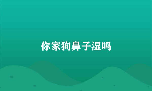 你家狗鼻子湿吗