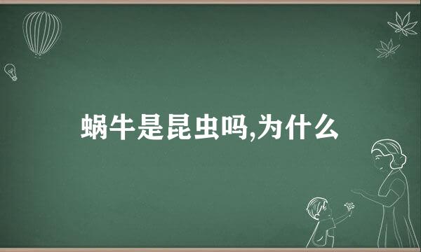 蜗牛是昆虫吗,为什么