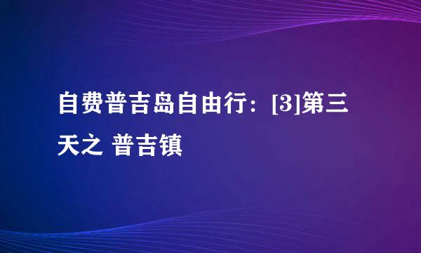 自费普吉岛自由行：[3]第三天之 普吉镇