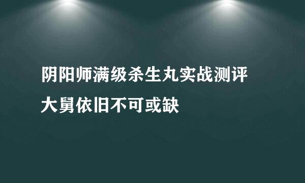 阴阳师满级杀生丸实战测评 大舅依旧不可或缺