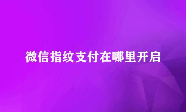 微信指纹支付在哪里开启