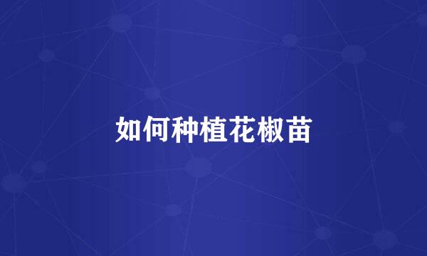 如何种植花椒苗