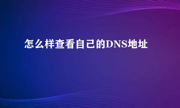 怎么样查看自己的DNS地址