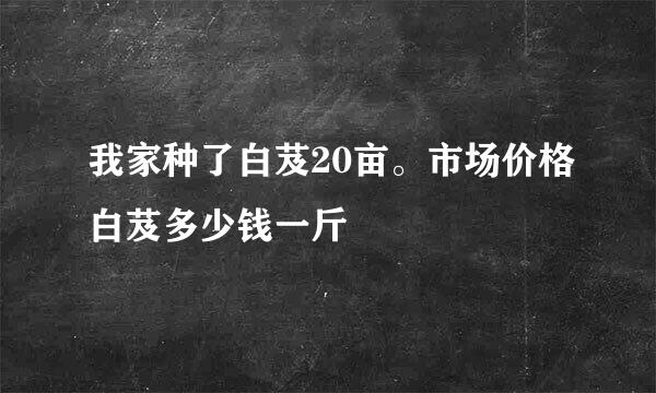 我家种了白芨20亩。市场价格白芨多少钱一斤