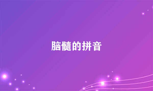 脑髓的拼音