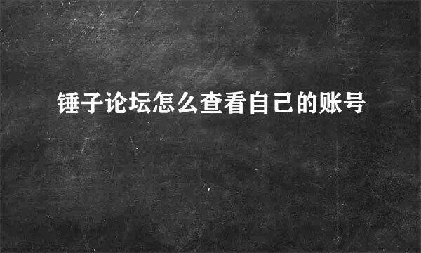 锤子论坛怎么查看自己的账号