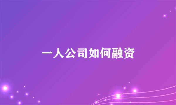 一人公司如何融资