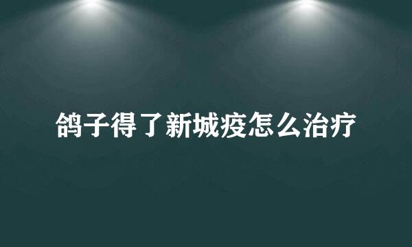 鸽子得了新城疫怎么治疗