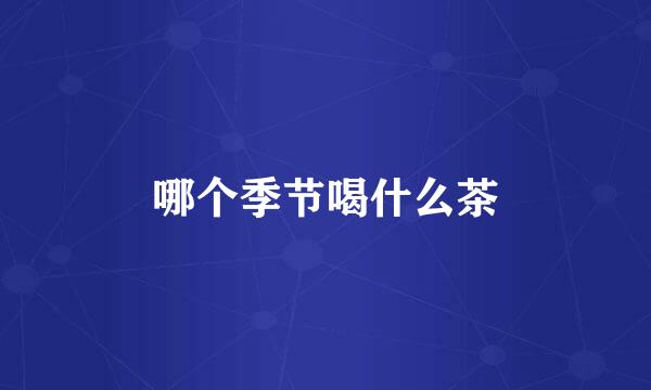 哪个季节喝什么茶