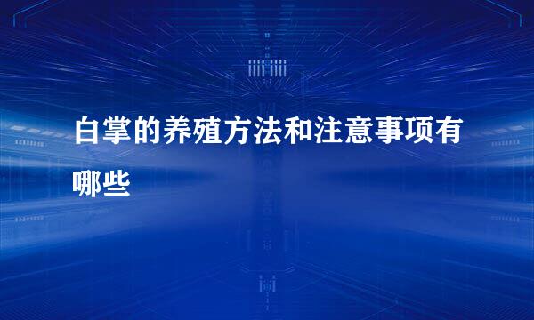 白掌的养殖方法和注意事项有哪些