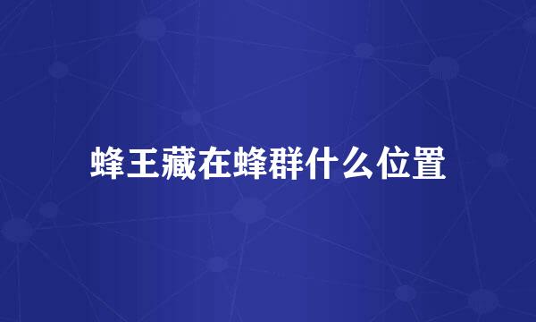 蜂王藏在蜂群什么位置