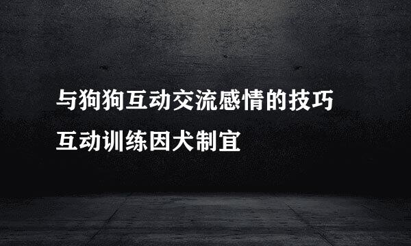 与狗狗互动交流感情的技巧 互动训练因犬制宜