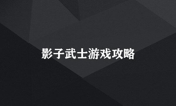 影子武士游戏攻略