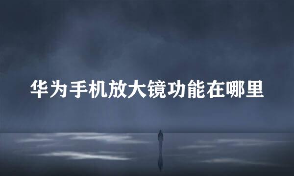 华为手机放大镜功能在哪里