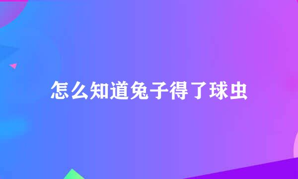 怎么知道兔子得了球虫