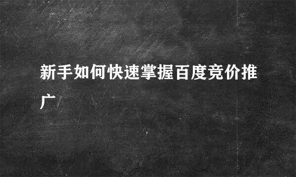 新手如何快速掌握百度竞价推广