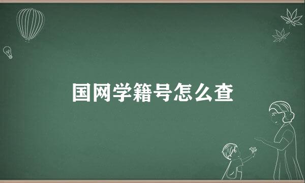国网学籍号怎么查
