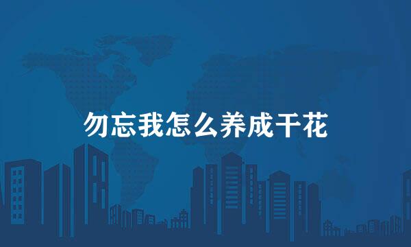 勿忘我怎么养成干花