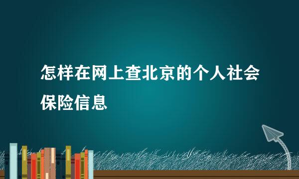 怎样在网上查北京的个人社会保险信息