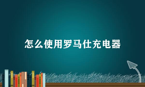 怎么使用罗马仕充电器