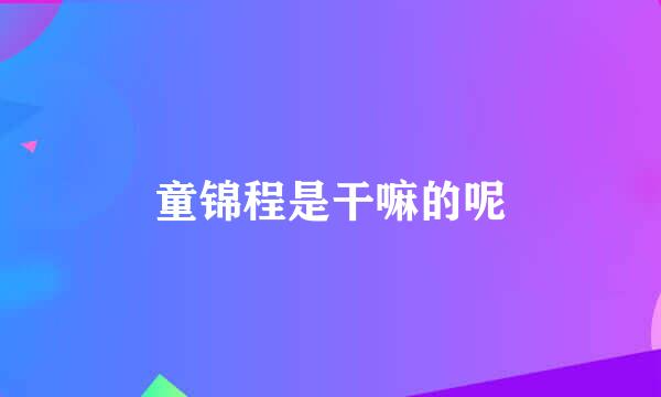 童锦程是干嘛的呢