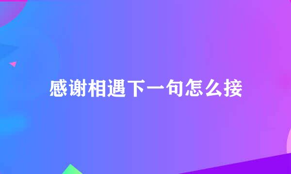 感谢相遇下一句怎么接