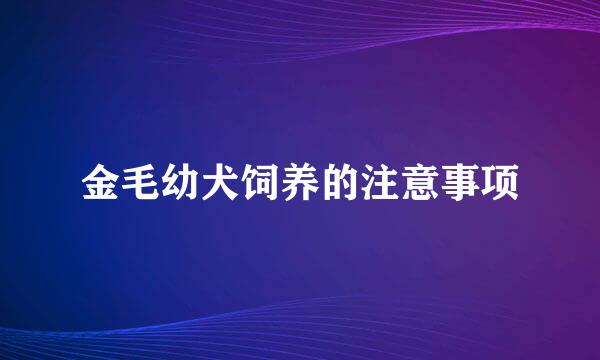 金毛幼犬饲养的注意事项