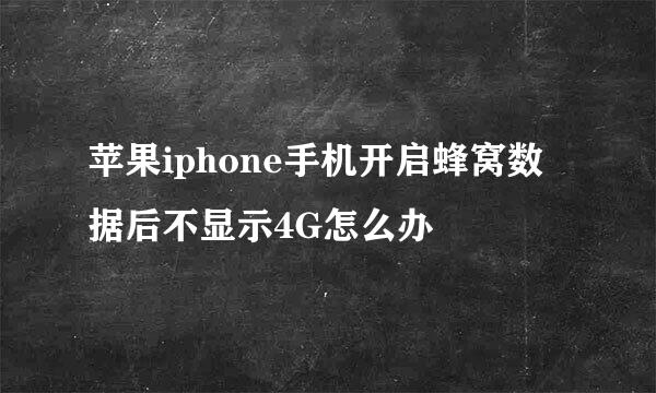 苹果iphone手机开启蜂窝数据后不显示4G怎么办