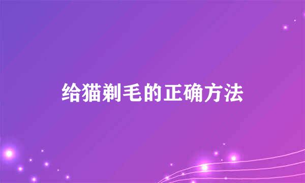给猫剃毛的正确方法