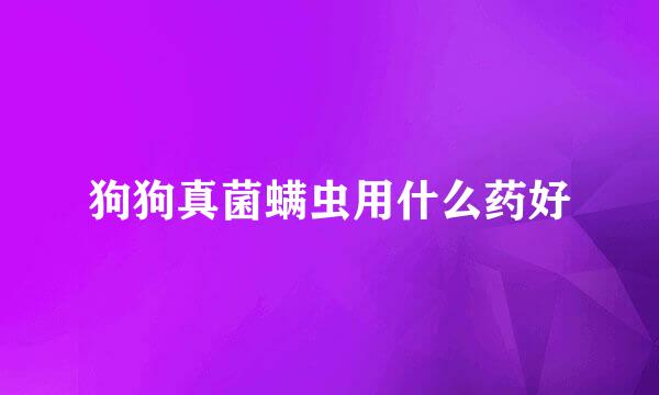 狗狗真菌螨虫用什么药好