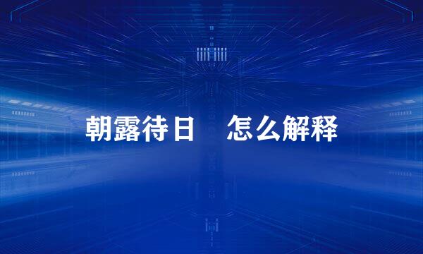 朝露待日晞怎么解释