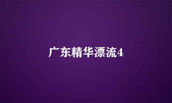 广东精华漂流4