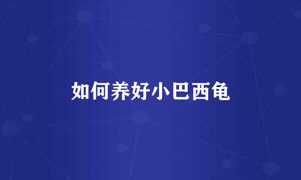 如何养好小巴西龟