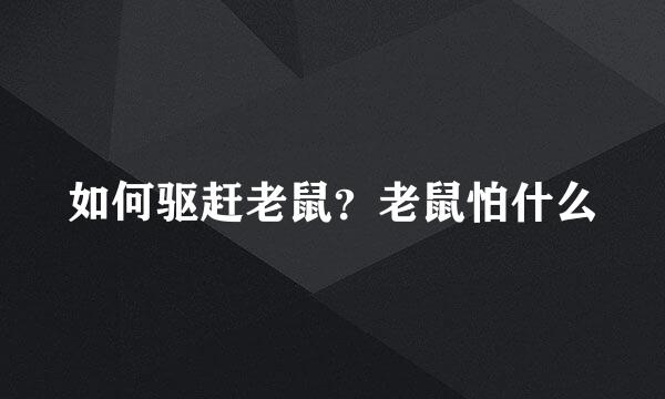 如何驱赶老鼠？老鼠怕什么