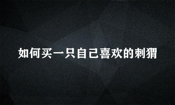 如何买一只自己喜欢的刺猬