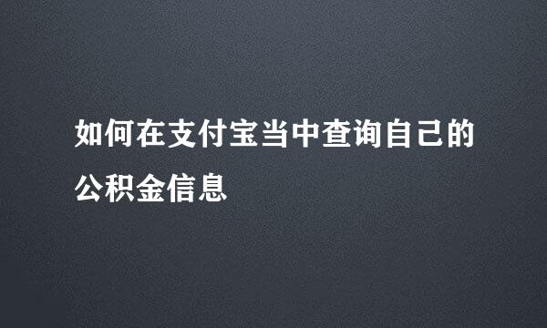如何在支付宝当中查询自己的公积金信息