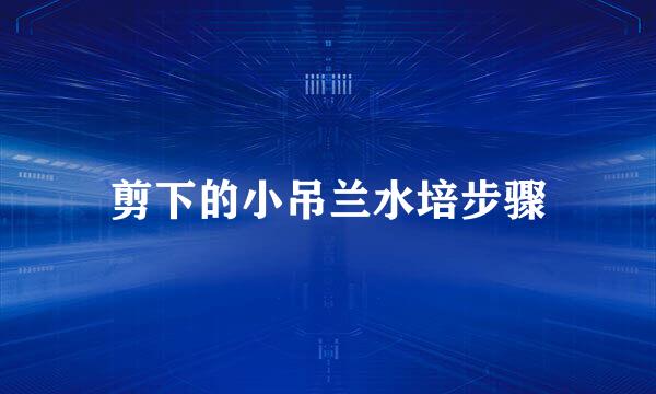 剪下的小吊兰水培步骤