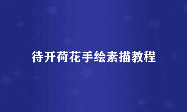 待开荷花手绘素描教程