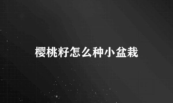 樱桃籽怎么种小盆栽