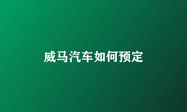 威马汽车如何预定